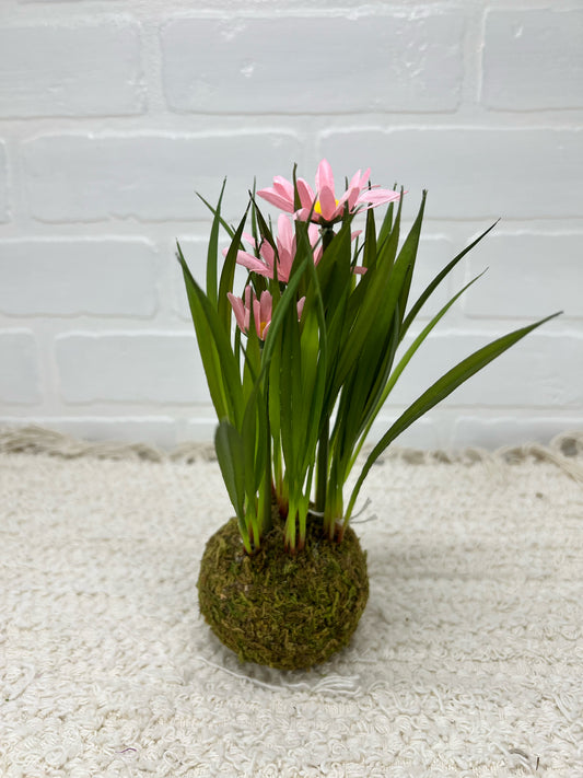 Pink floral moss ball