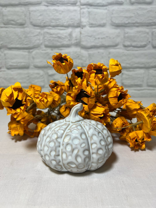 White Ceramic Pumpkin, oblong shape