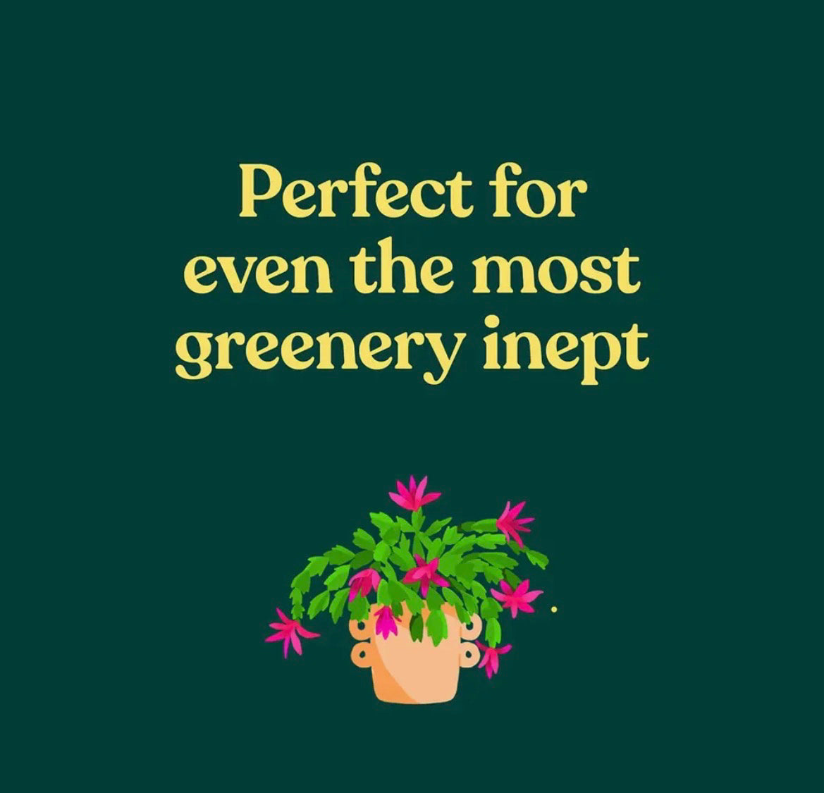 Green Dumb Guide To Houseplants