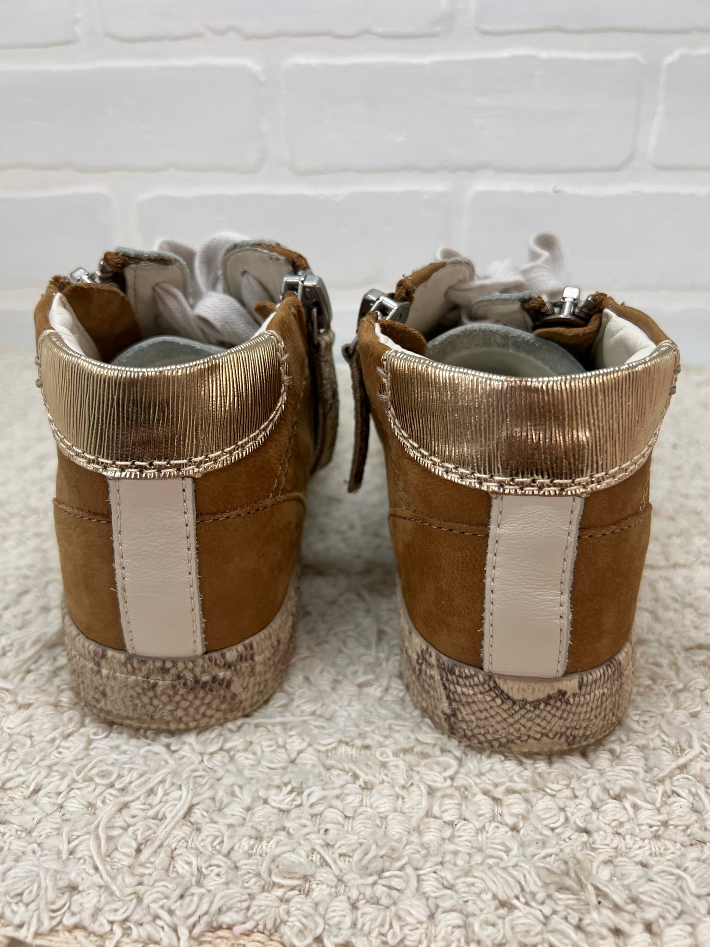 Shoe Size 6.5 Dolce Hightop Snakeskin Detail Sneakers