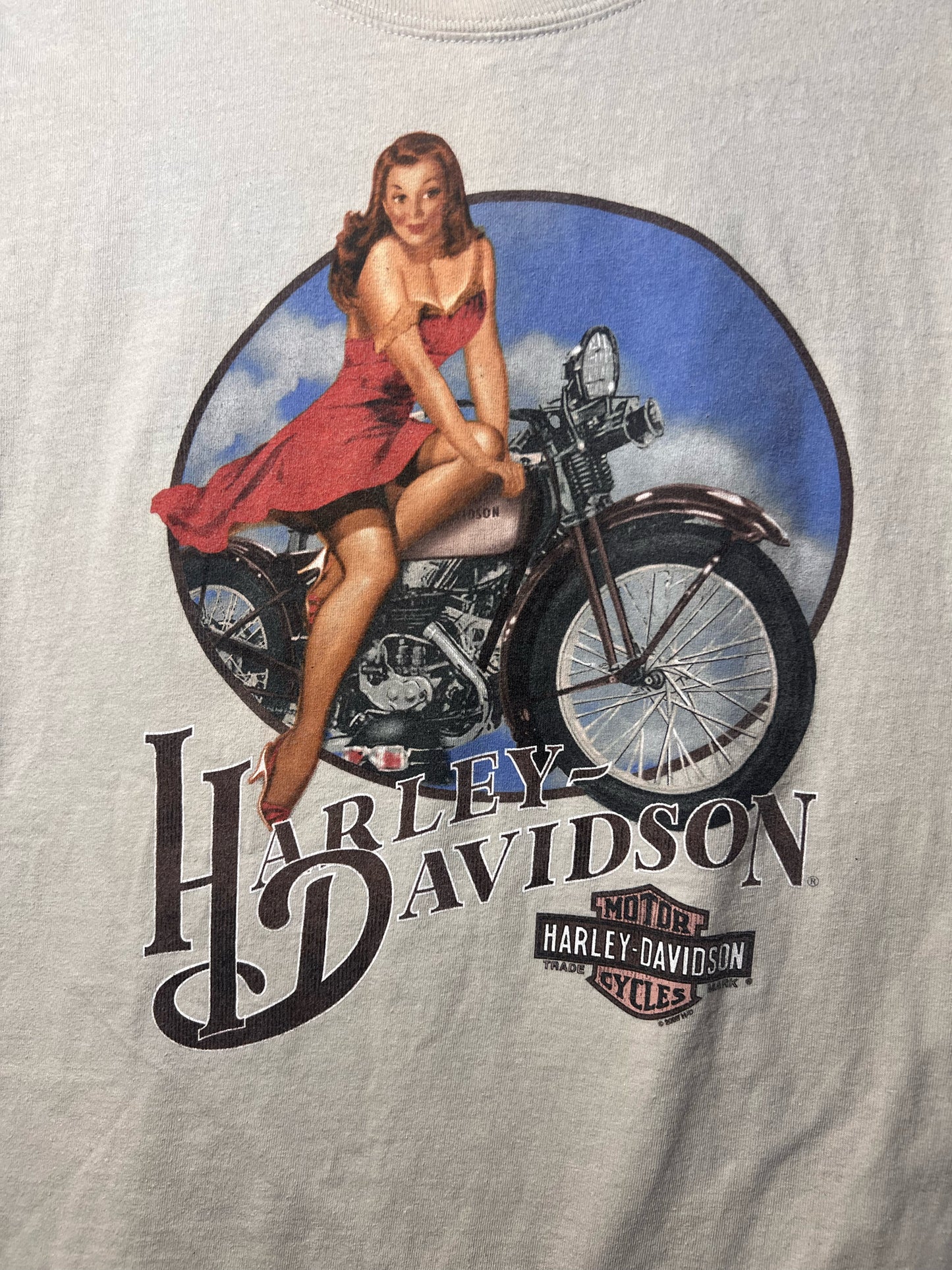 Size XL Harley-Davidson Used HD T-Shirt - Special Collection