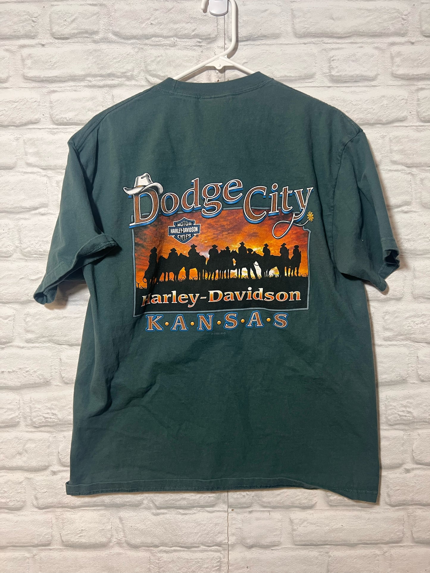 Size L Harley-Davidson Used HD T-Shirt - Special Collection