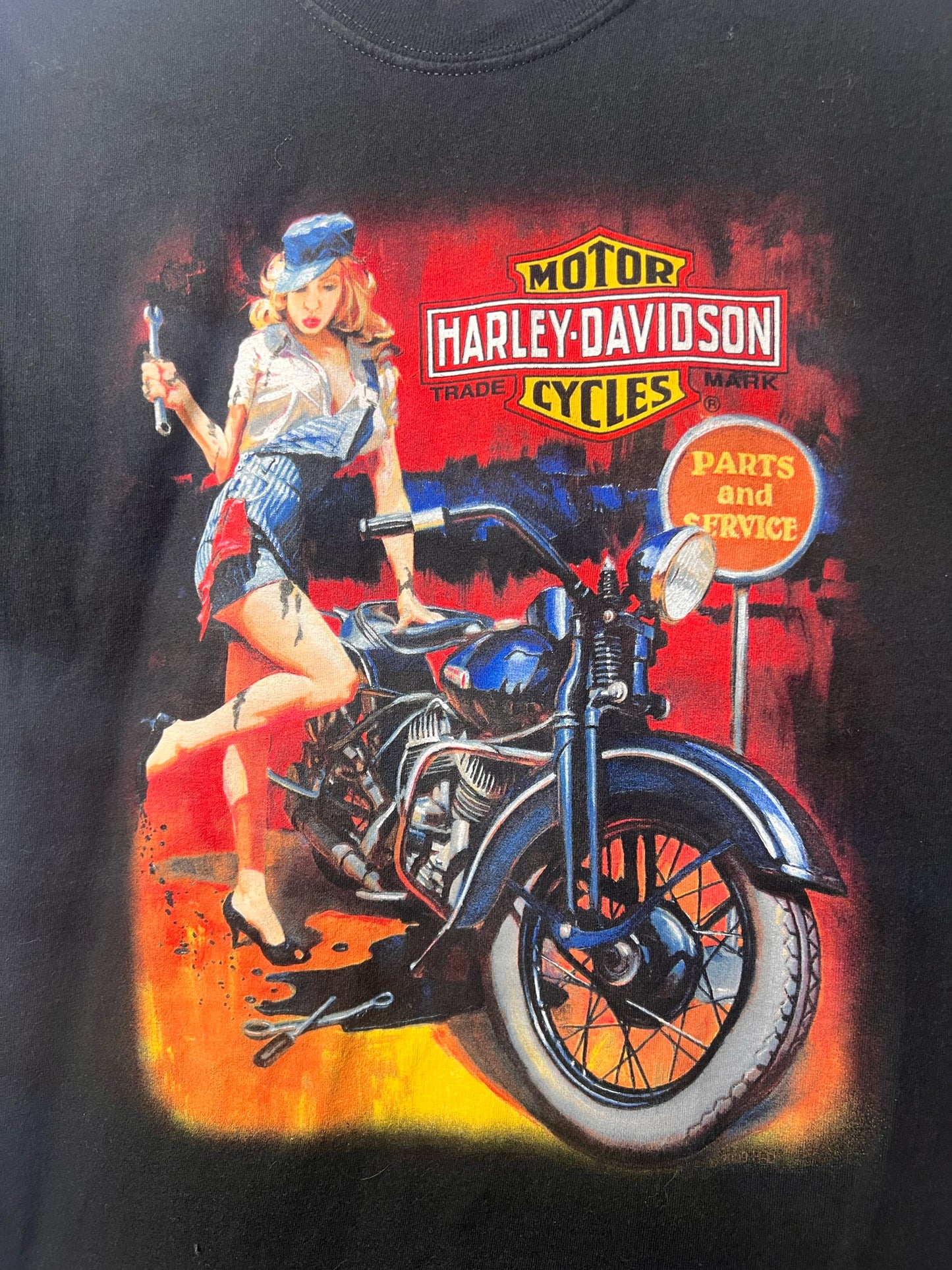 Size M Harley-Davidson Used HD T-Shirt - Special Collection