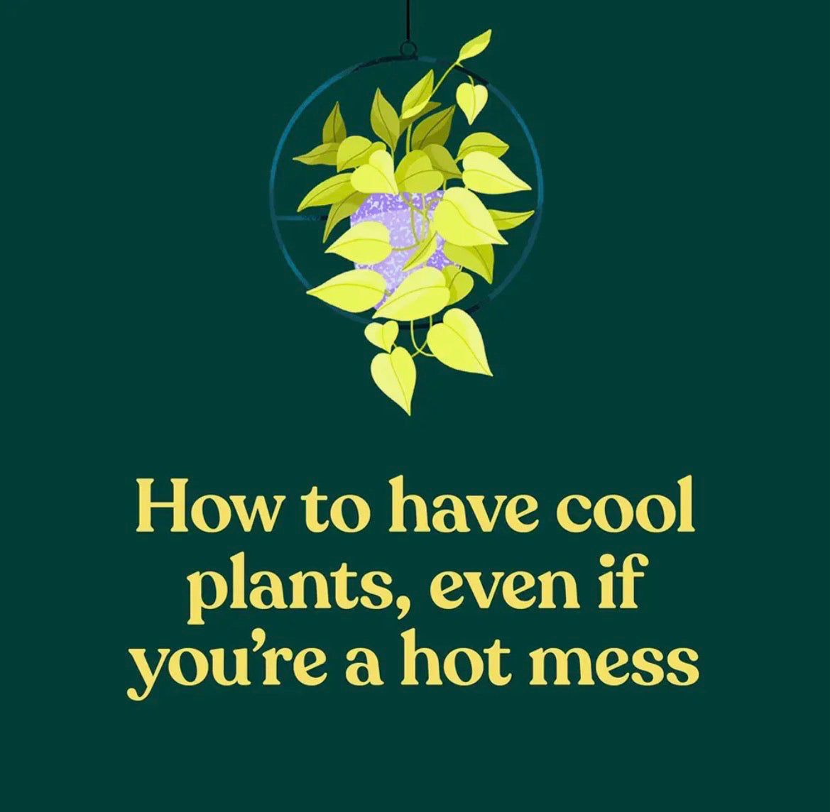 Green Dumb Guide To Houseplants
