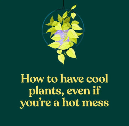 Green Dumb Guide To Houseplants
