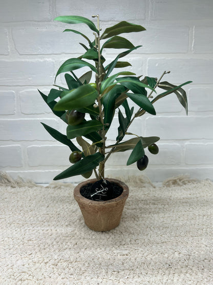Faux Potted Olive Plant