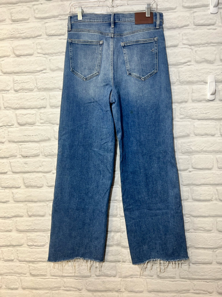 Hidden Size 29 Waist Used Jeans