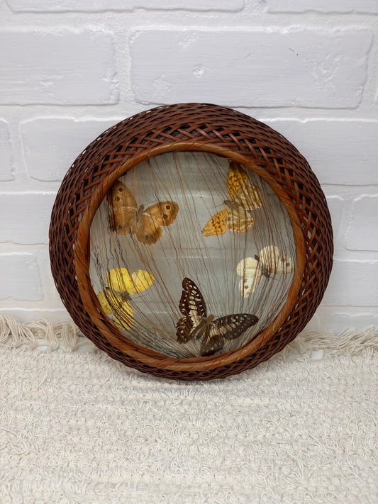 Vintage Pressed Butterfly Round Tray