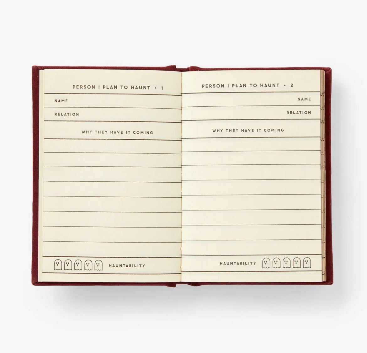Brass Monkey People I Plan to Haunt Mini Diary