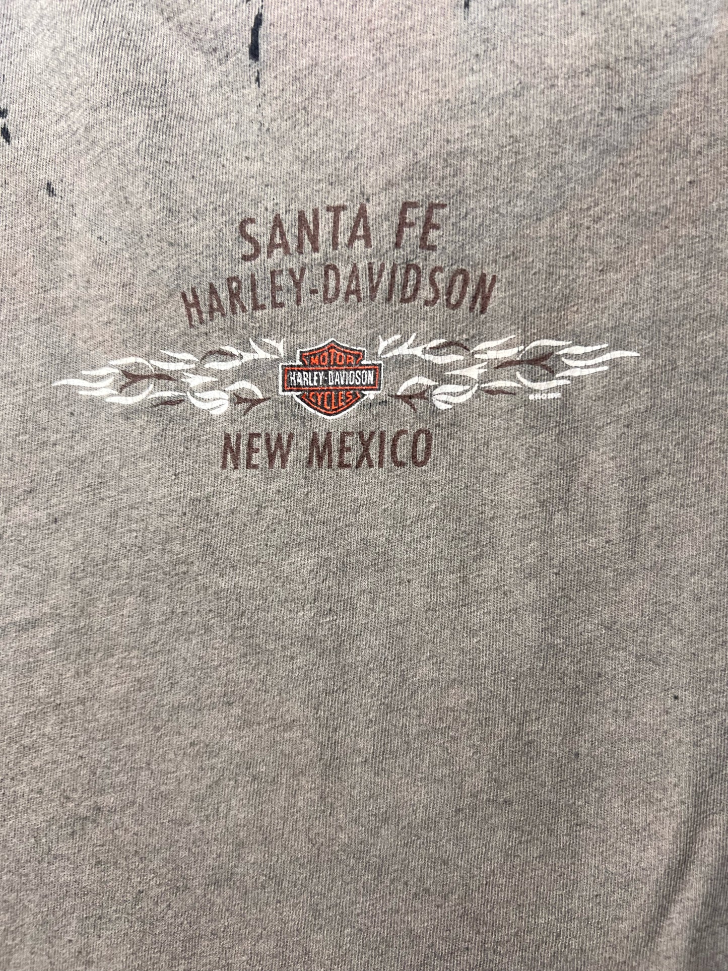 Size L Harley-Davidson Used T-shirt