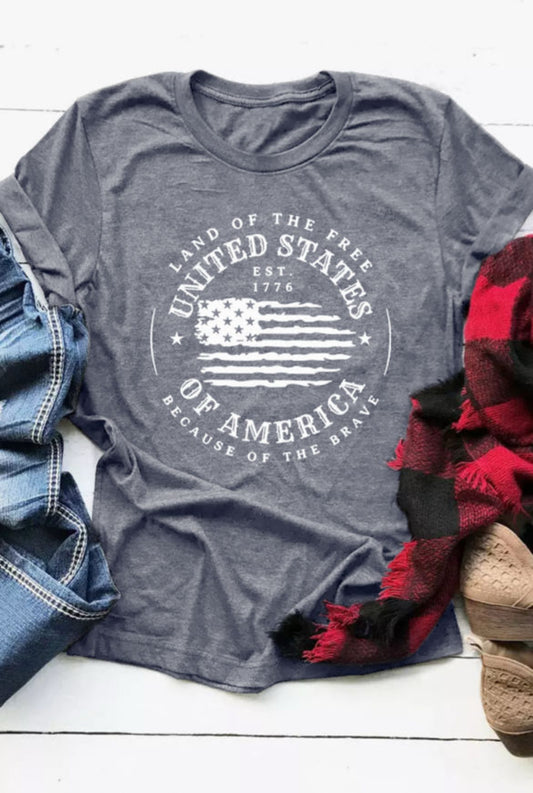Gray USA Flag T-Shirt