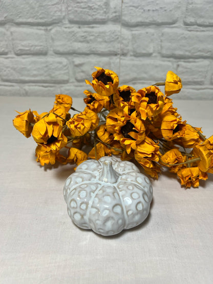 White round & squat ceramic pumpkin