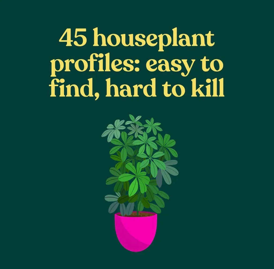 Green Dumb Guide To Houseplants