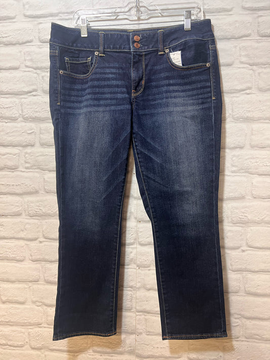 American Eagle Size 12 Artist Jeans