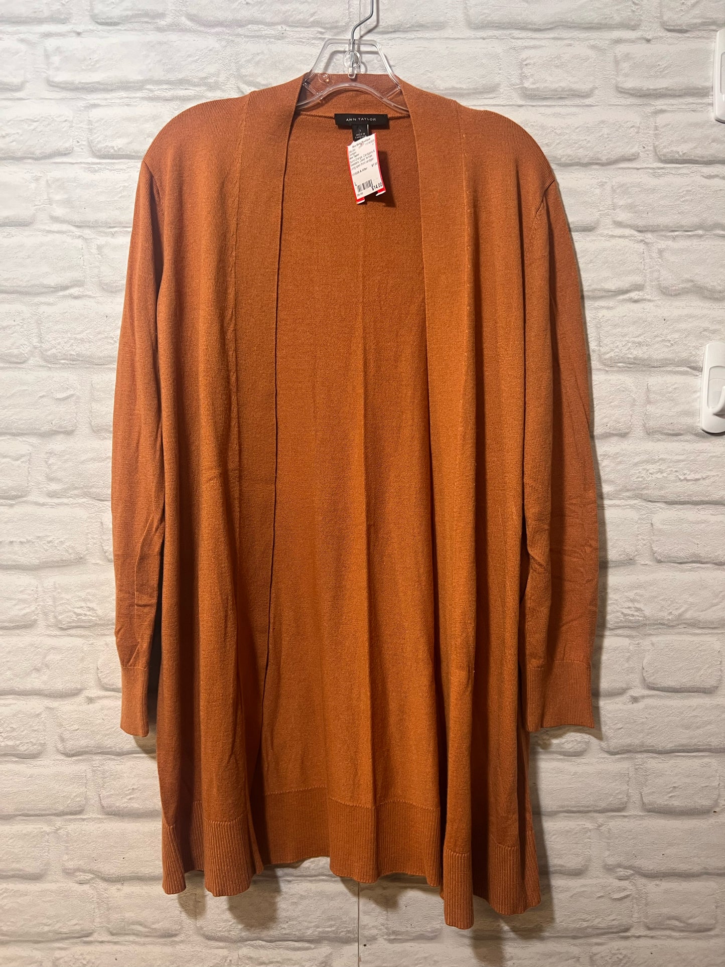 Size L Ann Taylor Used Cardigan