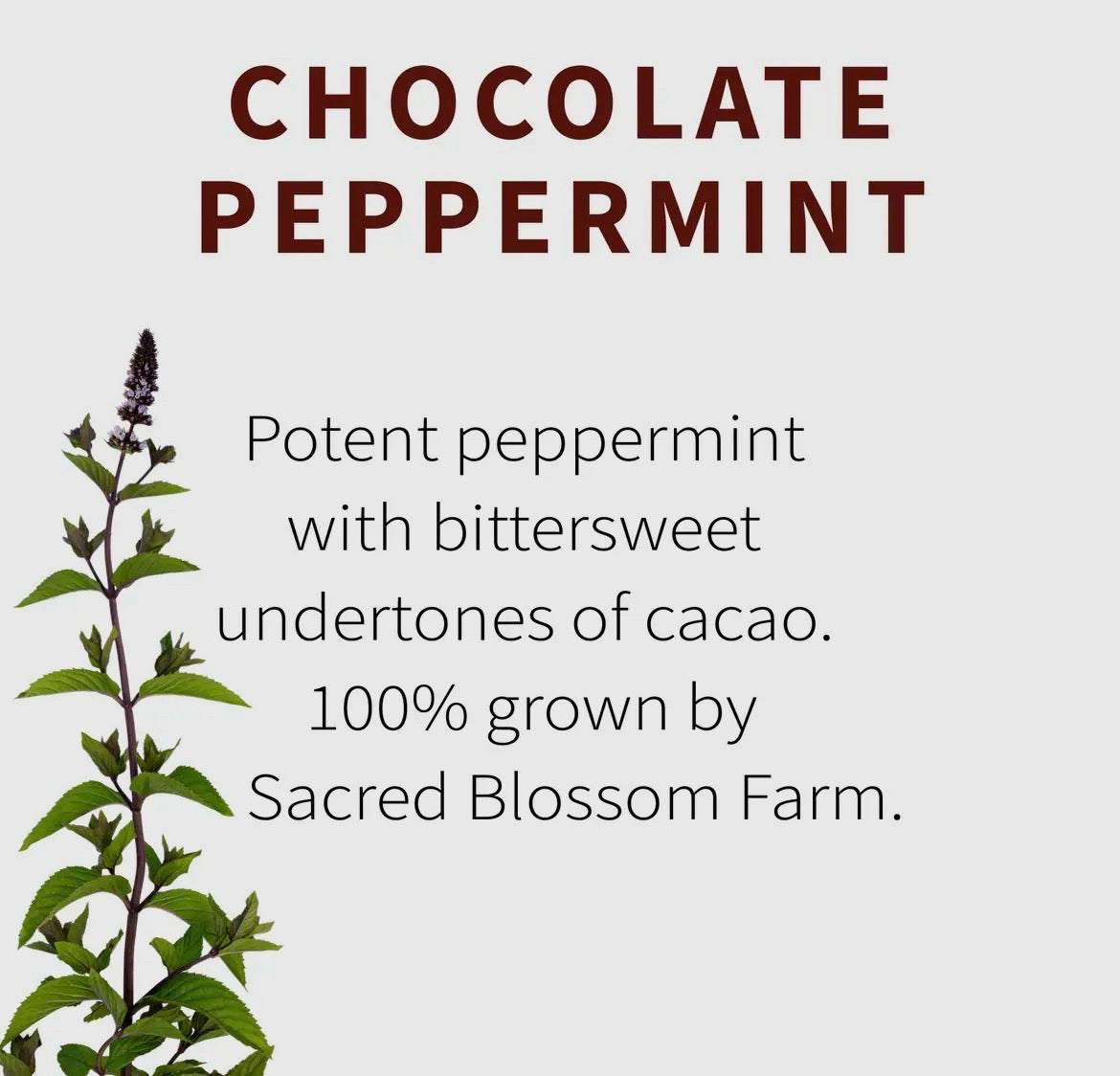 Sacred Blossom Farm Loose Leaf Herbal Tea - Assorted Varieties