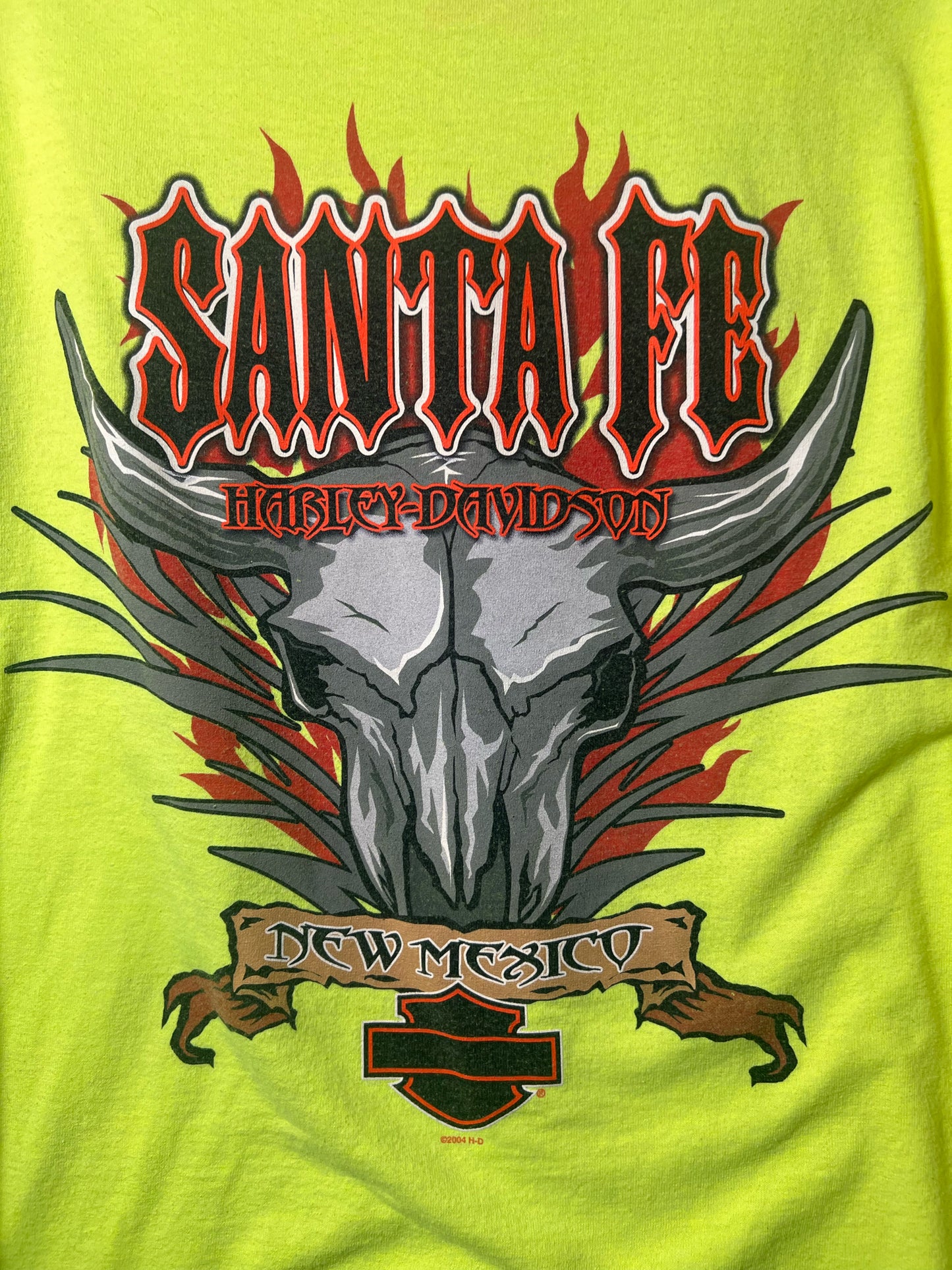 Size XL Harley-Davidson Used HD T-Shirt - Special Collection